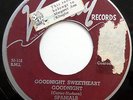 SPANIELS 45 Goodnight Sweetheart / You Don't Move Me SPANIALS 1954 Doo Wop w1861