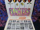 ARCHIVE M- SHRINK 1966 Orig  ROLLING STONES   FLOWERS Garage Psych = NO UK ISSUE