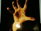 SYSTEM OF A DOWN, SELF TITLED 200 GRAM BLACK VINYL LP, EU IMPORT NEW
