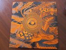 Echoes in Time 2 lp Outcasts Iguanas Avengers SRC King Beez Crystal Rain etc