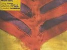 Yeah Yeah Yeahs Show Your Bones vinyl LP album record UK 9852956 POLYDOR 2006