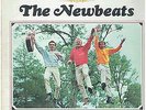 NEWBEATS RUN BABY RUN LP HICKORY RECORDS