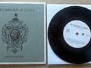 Mumford and Sons - Little Lion Man 7