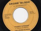 THE CROSS BLOODS Orange Sunshine RARE HEAVY DARK PSYCH /   ROCK 45 Fuzz *LISTEN*
