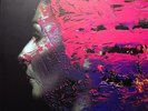 STEVEN WILSON Hand.Cannot.Erase. 2LP EXCLUSIVE ART PRINT EDITION porcupine tree