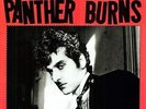 TAV FALCO /  HIS PANTHER BURNS - LORE & TESTAMENT 1: BEHIND THE NEW VINYL