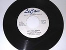 RARE CROSSOVER FUNK 45 CHRISTIAN PLICQUE (BERRY STREET STATION) HOT FOXY WOMAN