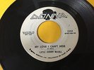 Little Johnny McCall & Group TEEN DOO WOP 45 My Love I Can't Hide DONNA E13 HEAR