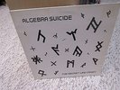 ALGEBRA SUICIDE THE SECRET LIKE CRAZY RRR RECORDS VINYL LP RECORD CLEAN