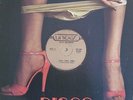 BEAR BROTHERS - Zsha, Zsha, Zsha - RARE DISCO UNIDISC
