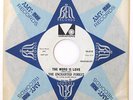 Psych 45 THE ENCHANTED FOREST The Word Is Love on Variations VG++ Promo