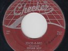 R&B 45 - Sugar Boy & His Cane Cutters - Jock-A-Mo - Checker - mp3