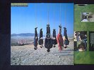 ALAN PARSONS „TRY ANYTHING ONCE“ OIS  ALBUM 1993 ORIGINAL