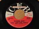 BOBBY LONG & THE CHEERIOS Cub 9120 PROMO STATION HURT / FLIP FLOP -Listen