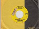 Garage Psych 45 - October Country - My Girl Friend Is A Witch - Epic - mp3