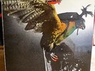 BUDGIE In For The Kill UK 1st Press MCA COMPLETE LP EX