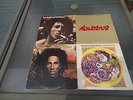 Bob Marley 12