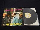 Sex Pistols - Party Till You Puke Vinyl LP
