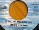 JAMES NELSON - MELLOW MELLOW ME -  RARE modern soul 45  TERI DE