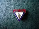 1950/51 WINSTON CHURCHILL CONSERVATIVES GENERAL ELECTION POLITICAL ENAMEL BADGE