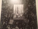 FLUX OF PINK INDIANS STRIVE TO SURVIVE LP FIRST PRESS WITH BOOKLET CRASS