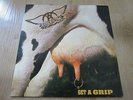 Aerosmith ?– Get A Grip Vinyl LP 1993 Insert