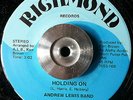 ANDREW LEWIS BAND - Holding On/Midnite Man - 45 RARE FUNK/MODERN SOUL hear