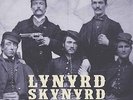 LYNYRD SKYNYRD - taking the biscuit