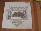 ERNEST HOOD Neighborhoods LP 1975 MAGICAL EXPERIMENTAL PRIVATE PRESS