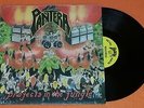 PANTERA - Projects In The Jungle - 1984 Metal Magic LP - First Press Vinyl RARE