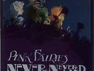 Pink Fairies Never Never Land - P.V.C. Sleeve - EX vinyl LP album record UK