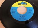Original 45  -  The Ad Libs, Johnny My Boy - Blue Cat BC123 Cond. Ex
