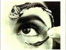 Mr. Bungle Disco Volante LP vinyl record sealed reissue faith no more