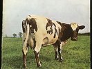Pink Floyd Atom Heart Mother LP VG+ UK 1970 1st SHVL 781 No EMI W/ Faucet Drip