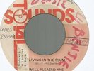 WELL PLEASED AND SATISFIED - LIVING IN THE SLUM / DUB IN THE SLUM      7