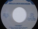 Modern Soul Boogie 45 THE FISHERS Shake KELLI ARTS HEAR