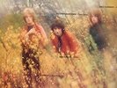 LP -  Spooky  Tooth (Gary Wright)  -  It`s  All  About  -   Beat/Rock -  Fontana