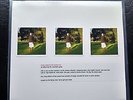 The Mountain Goats Come Come to the Sunset tree LP No.74 handmade cover by John