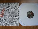 Paramore Riot vinyl LP