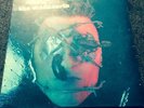 The Wildhearts- Earth Vs The Wildhearts Lp Signed By Band