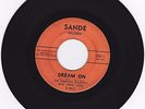 Rare NW Garage Soul 45 The Fabulous Majestics with Lanny Hunt on Sande c1964