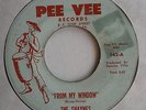 THE SHAYNES from my window  original 1966 garage single  U.S.press on PEE VEE