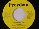 FREEDOM: Can't You See / Sunshine 45 rare Soul