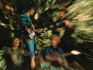 Bayou Country - Creedence Clearwater Revival (2014, Vinyl NEW)