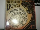 Bleach Boys Schallplatte Oi Skinhead Punk Rock  Skin Rac C84 Rarität