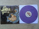 The Upsides by The Wonder Years vinyl record. Rare. OOP.