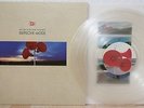 Depeche Mode - Music For The Masses album.    CLEAR VINYL