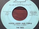 Rare R&B 45 Psych Garage Fuzz 45 The Bees Liverpool 62225 VG