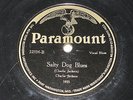 Salty dog blues /  Salt Lake City blues   