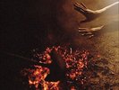 Half Moon Run - Dark Eyes